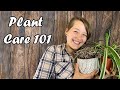 Plant Care For Beginners! 7 Easy Mistakes To Avoid!