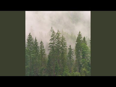 Watch Present on YouTube Watch Present on YouTube