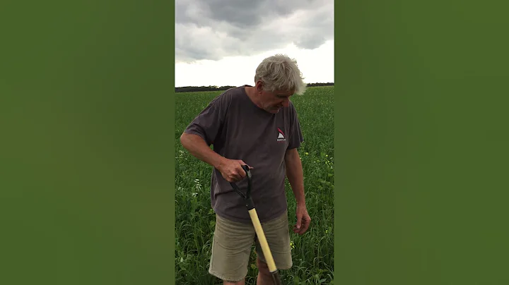 Gerald Wiebe Part 2 - Rebuilding soils without che...