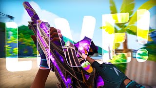 Valo Comp Solo Queue Sponsored Stream Bugsydan