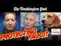 Fauci Accused Of Overseeing Experiments On Beagles AND Monkeys, WaPo Runs DEFENSE