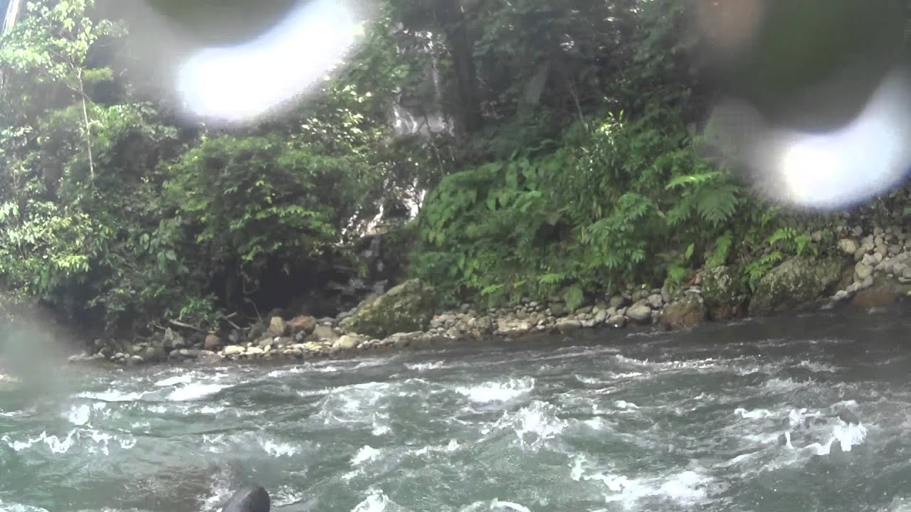 Weekend Crossroad - Bahorok River Adventure