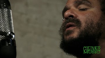 Mark Wilson - Colours (Live)