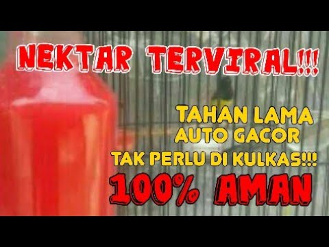 Video: Apa Apakah Mange pada Anjing Tampak Seperti?