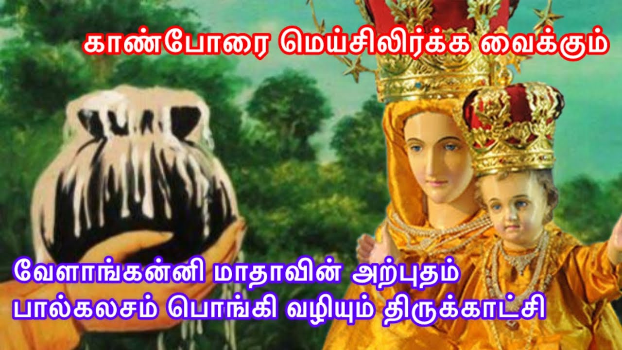 📿அன்னை வேளாங்கண்ணி திரைப்படக்காட்சி @Catholicboy2413 #avemaria #velankannimadha #catholic #madha