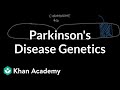 Understanding Genetic Causes of Parkinson's Disease