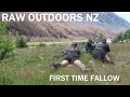 First time Fallow. NZ Deer Hunt.