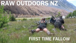 First time Fallow. NZ Deer Hunt.