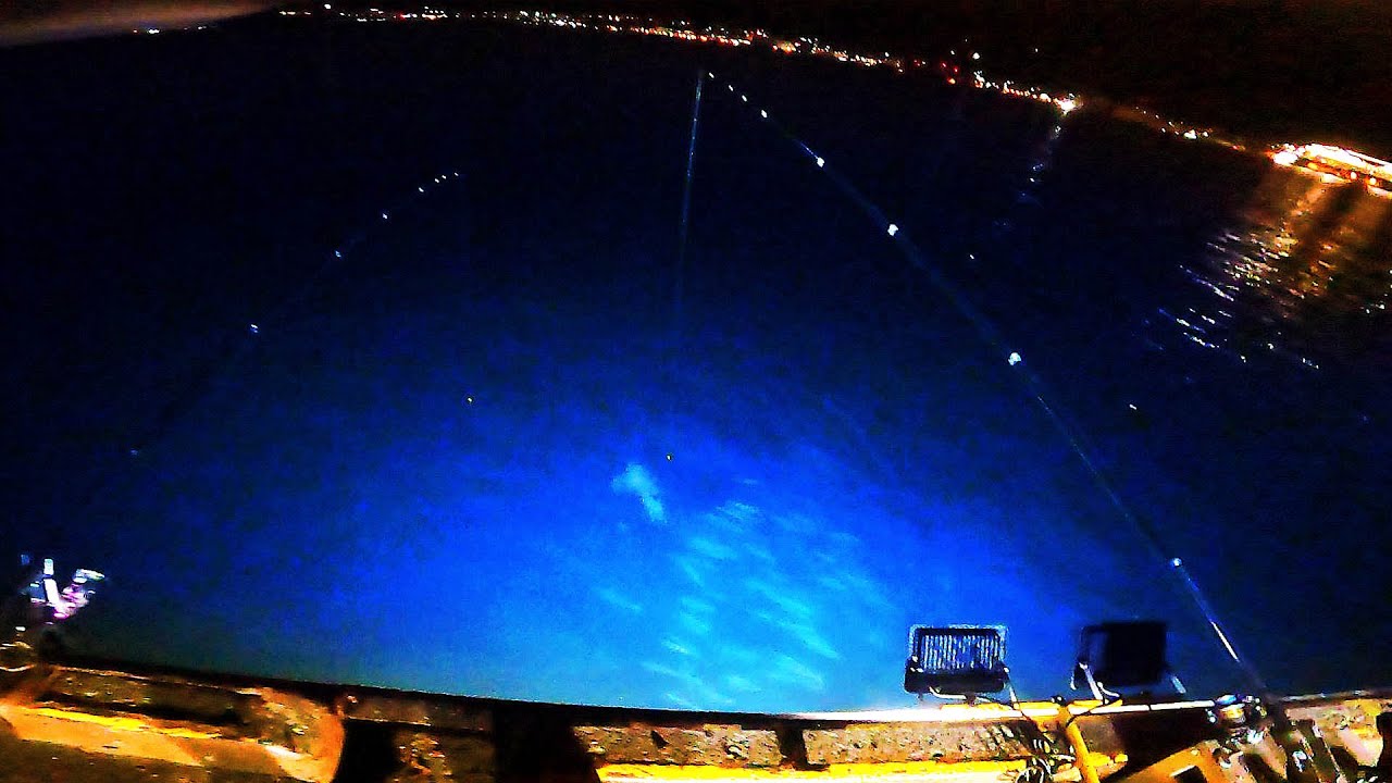 【北海道石狩湾・小樽釣り】静かな夜釣りにヤリイカの群れが出現!!　2025.4.2　北国の生活（エギング、サビキ釣り、自動シャクリ機、投光器、小樽港厩町岸壁）