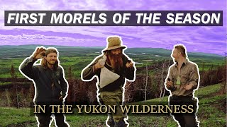 Discovering Thousands of MORELS in the Yukon Wilderness