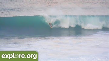 Surfers on Massive Waves | Hawaii Pipeline
