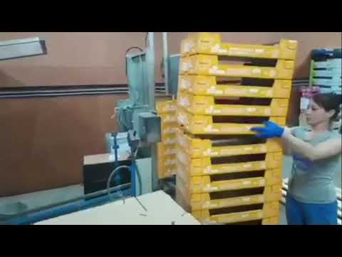 Лоток для голубики 600х400х100мм. Упаковка для фруктов - video from Vital Trading