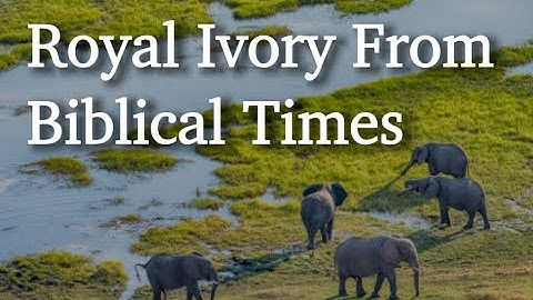 Revealing the Source of Royal Ivory from Biblical Times
