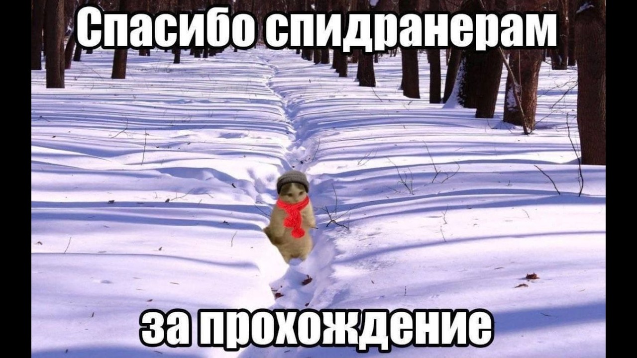 Advance RP Blue Оффшорный бизнес