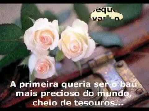 O Coração Do Homem Pode Fazer Planos Mas A Resposta Certa Vem Do