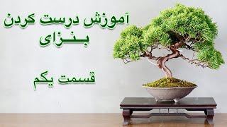 Bonsai Part 1 - آموزش درست کردن بنزای قسمت یکم