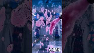 ASMR - CAR WASH #asmrsounds #asmrvideo #asmr