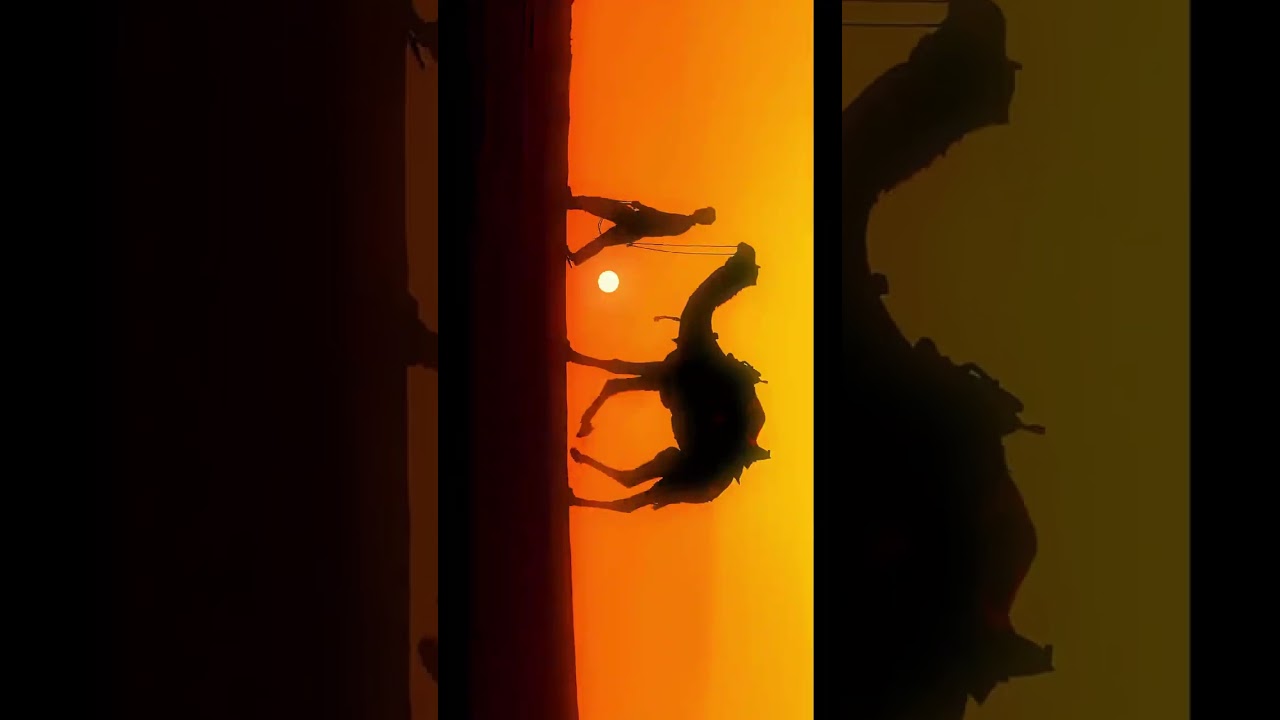 Everytime You Pause You Will See Incredible India 🇮🇳