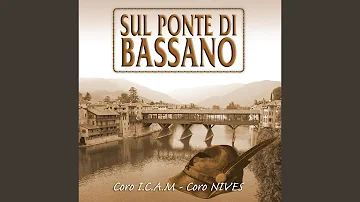 Quando mettere bandiera gialla?