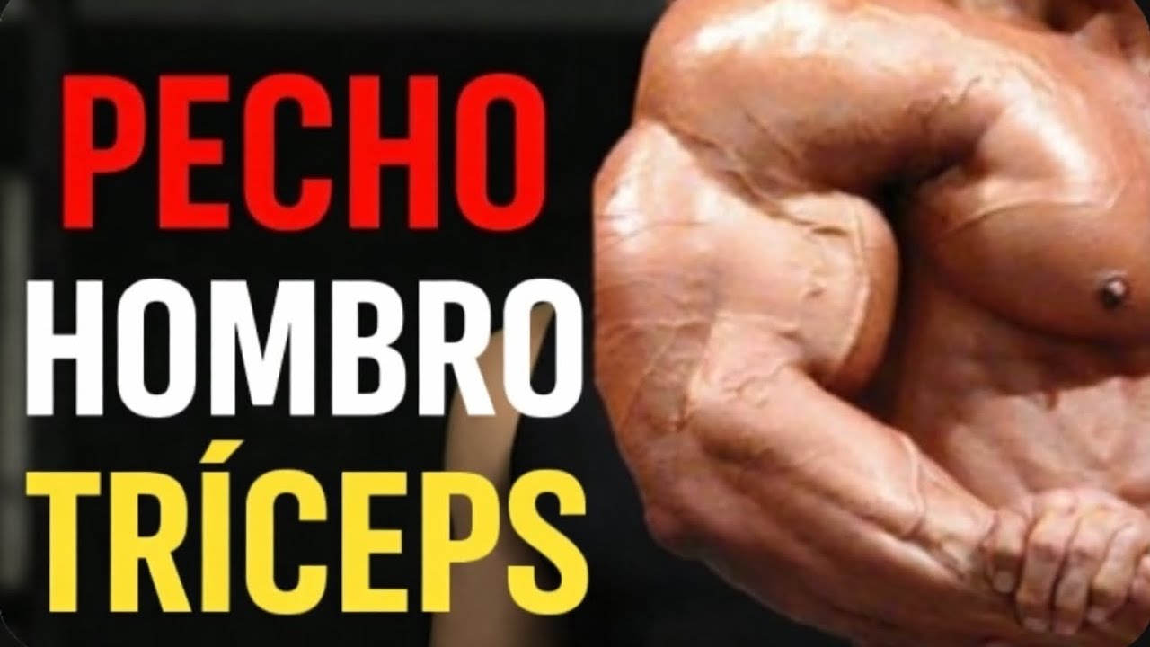 Entrenamiento de pecho hombro y tríceps 