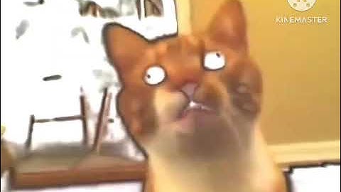 Shortest Video On YouTube Part 3 More Effects