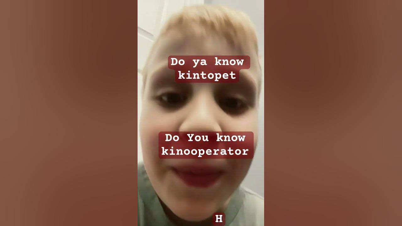 #kintopet - YouTube