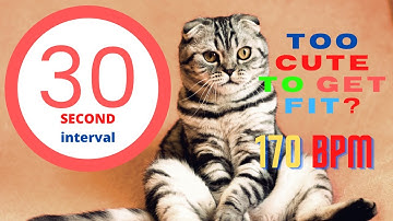 Workout music @ 170 bpm ( 30-second countdown interval with 10-second rest in between)