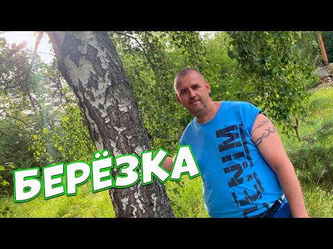 Всем, кто рос в деревне посвящается! БЕРЁЗКА Сергей Одинцов Новинка 2022