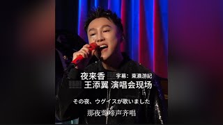 夜来香 - 王添翼