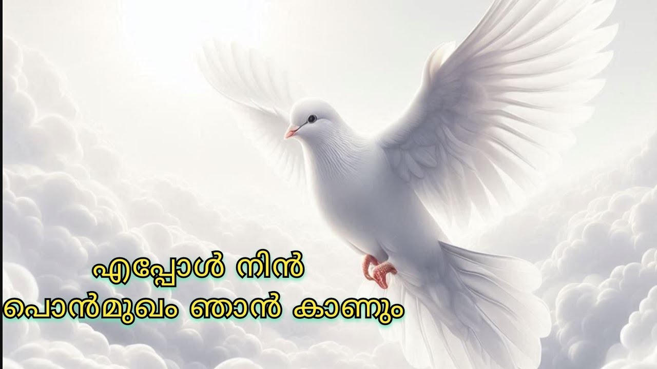 tpm malayalam songs  161 - 170 #tpmsongs #tpmmalayalamsongs eappol nin ponmukham  @Audio_out