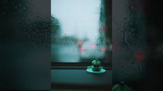 Rainfall - Lumix S9 - Opengate Test
