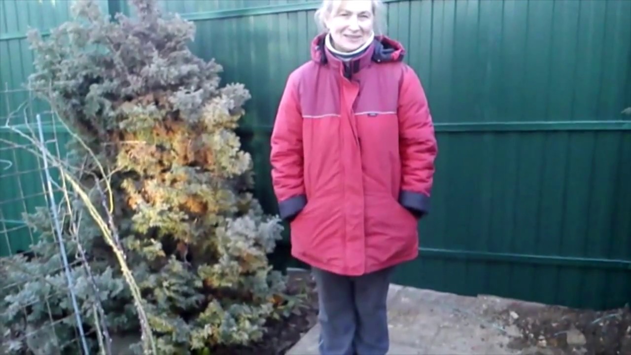 Забор из профлиста высотой 2 метра отзыв о работе компании Забор ...