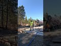 Lean 2 pour #concrete #construction #concretestructures #diy #work #fyp #shorts #timelapse #design