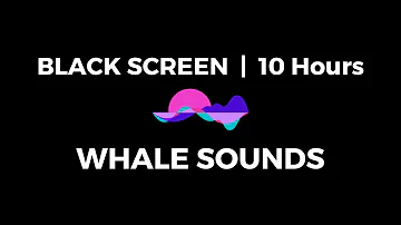 BLACK SCREEN  10 hours of WHALE SOUNDS for deep sleep