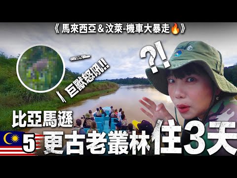 巨獸怒吼！直擊超稀有野生瀕危動物！世界最古老的原始雨林住三天！🇲🇾馬來西亞＆汶萊機車大暴走🔥｜Ep05