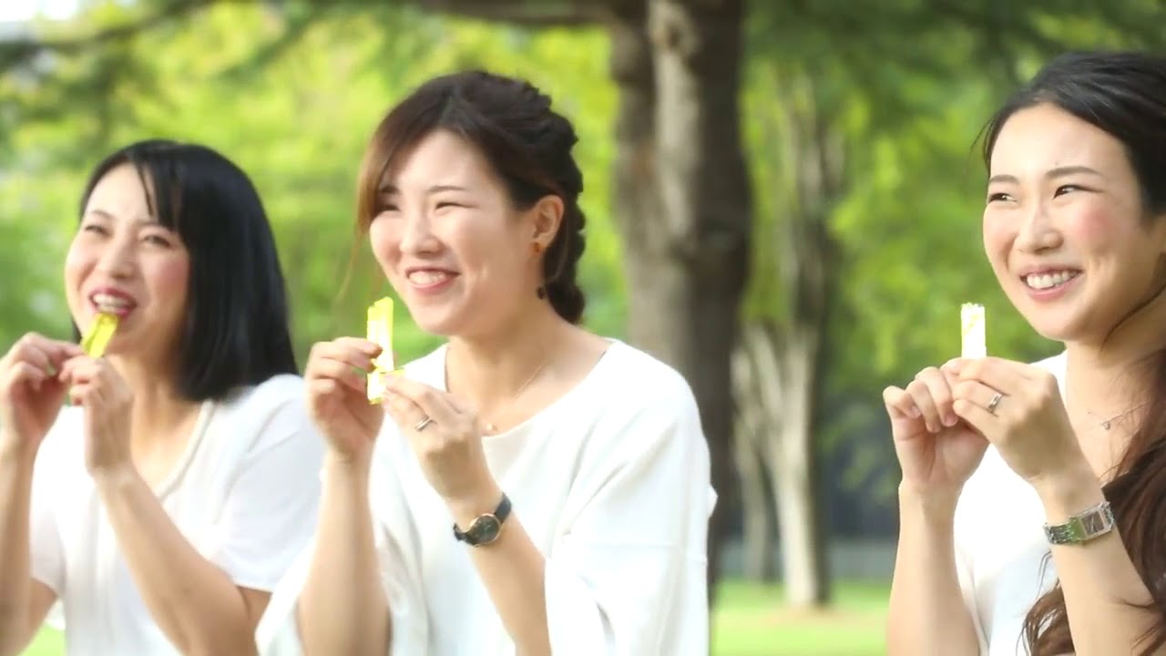 DDS-MATRIX ディーディーエス マトリックス