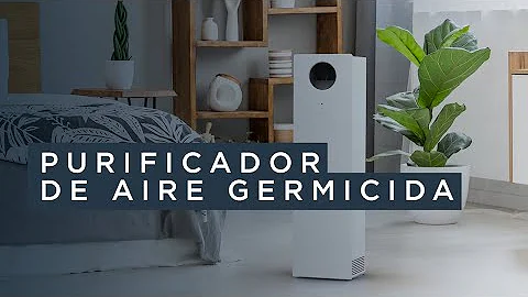 Como eliminar as bactérias do corpo?