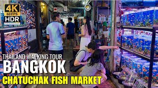 🐠 Mengintip Surga Akuatik Asia! Pasar Ikan Hias Chatuchak Bangkok [4K HDR]