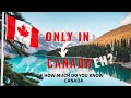 Only in canada  country canada  interesting facts about canada  trivia games  direct trivia