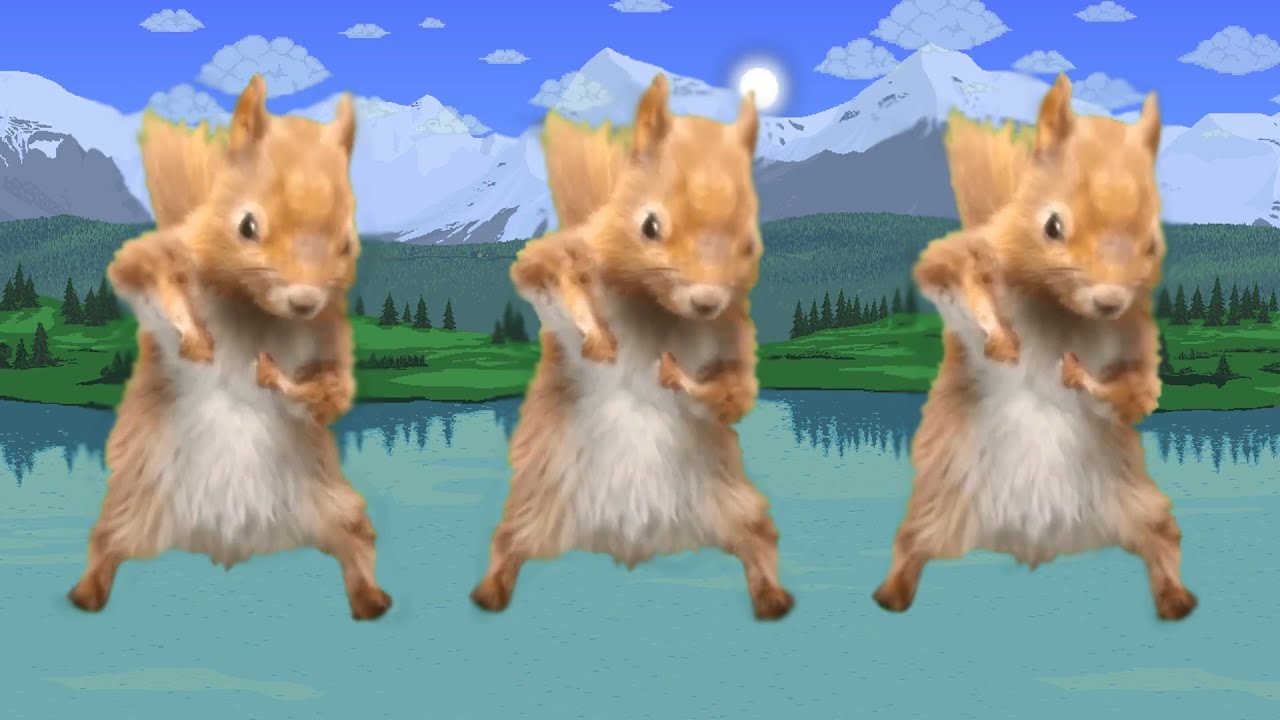 Squirrels dance to the "Alternate Day" music from the Terraria OST