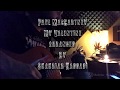 Paul maccartney  my valentine  guitar instrumental cover by shahriar haddadi  