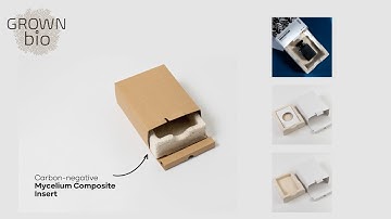 Insert options for luxury box: ONE4 mycelium packaging