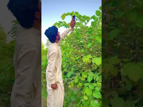 Short tiktok video status #shorts #shortvideo #youtubeshorts #trending #new #viralvideo