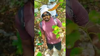 maldives fishing #fishing #catchingfish #fishingtechniques