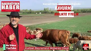 Kurban Bayramı’nı Kocaali’de, Hatunoğulları Çiftliği’nde kavurma yiyerek  geçirmeye davetlisiniz.