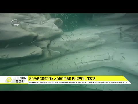 ახალი სერვისი მარტვილის კანიონში