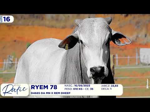 LOTE 16   RYEM 78