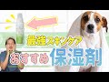 【皮膚科獣医師おすすめ】スキンケアの基本！迷ったらこの保湿剤・保湿スプレーを使えベスト１