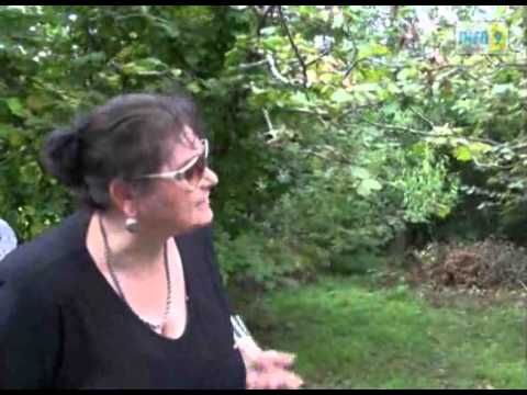 ჩოხატაური