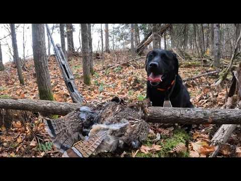 New Brunswick Upland Oct 16 2025 With Flusher